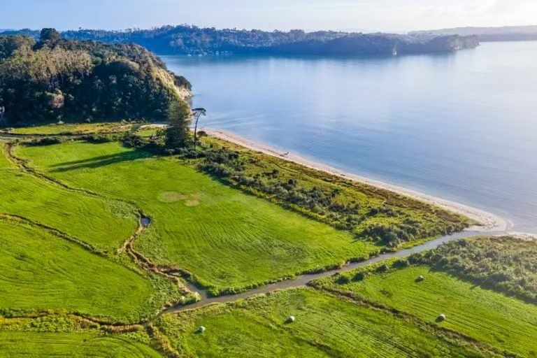 Photo of property in 3 Hurihuri Road, Okura Bush, Silverdale, 0794