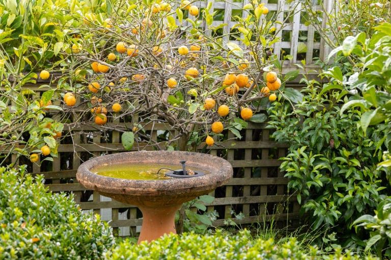 Photo of property in 117a Winara Avenue, Waikanae, 5036