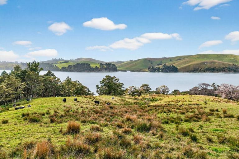 Photo of property in 397 Pahi Road, Pahi, Paparoa, 0571