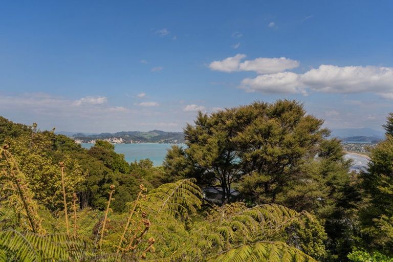 Photo of property in 9 Miro Place, Whitianga, 3510