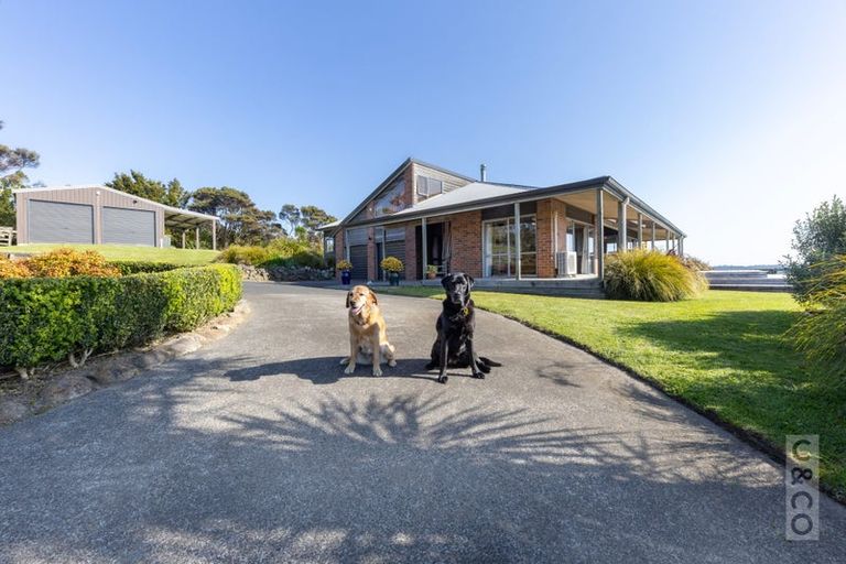 Photo of property in 457 Kiwitahi Road, Helensville, 0875