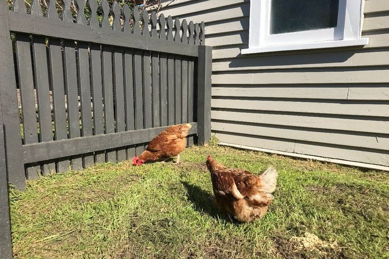 Photo of property in 81 Rogers Road, Bay View, Napier, 4104