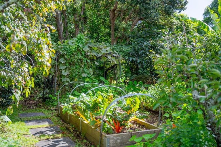 Photo of property in 15 Alexander Street, Waikanae, 5036