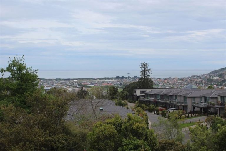 Photo of property in 92 Eglinton Road, Mornington, Dunedin, 9011