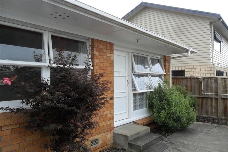 Photo of property in 33a Greensboro Street, Hamilton East, Hamilton, 3216