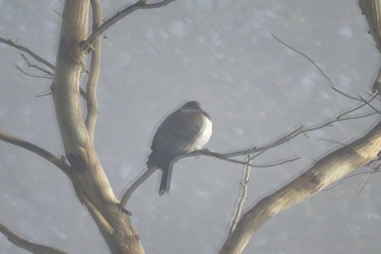 Photo of property in 7 Rewa Road, Maraetai, Auckland, 2018