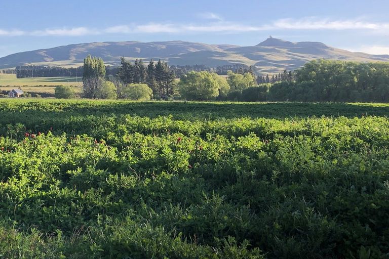 Photo of property in 624 Kyeburn-hyde Road, Kokonga, Ranfurly, 9397