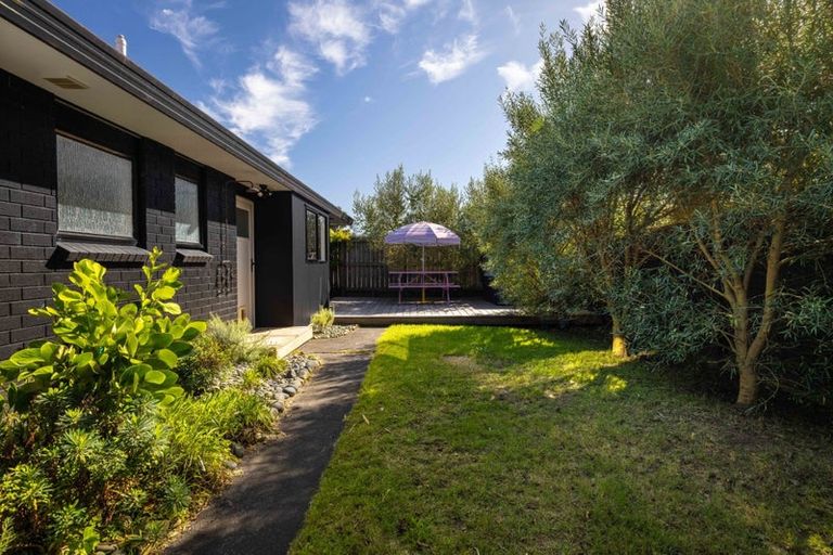 Photo of property in 19a Carysfort Street, Mount Maunganui, 3116