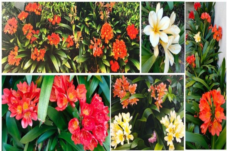 Photo of property in 57a Hautana Street, Woburn, Lower Hutt, 5010