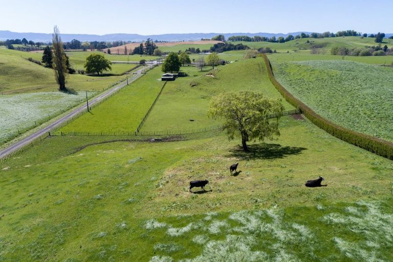 Photo of property in 3 Mcmillan Road, Tirau, 3484