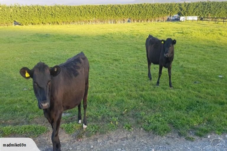 Photo of property in 131 Teapot Valley Road, Brightwater, 7091