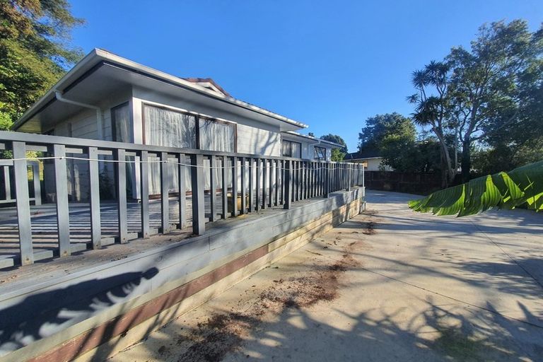 Photo of property in 55 Larissa Avenue, Henderson, Auckland, 0610