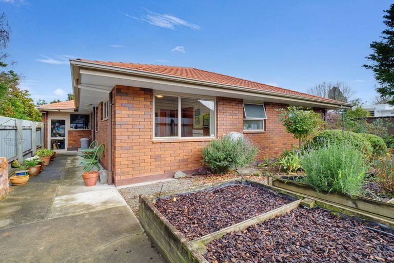 Photo of property in 219 Victoria Avenue, Hokowhitu, Palmerston North, 4410