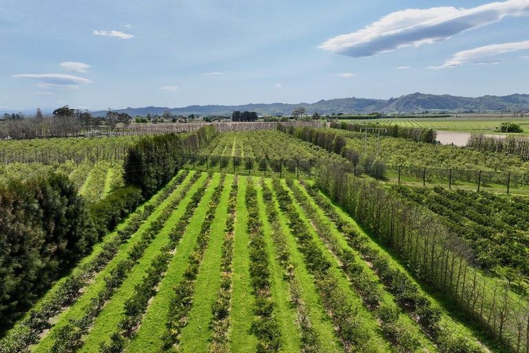 Photo of property in 19 Pilmer Road, Makauri, Gisborne, 4071