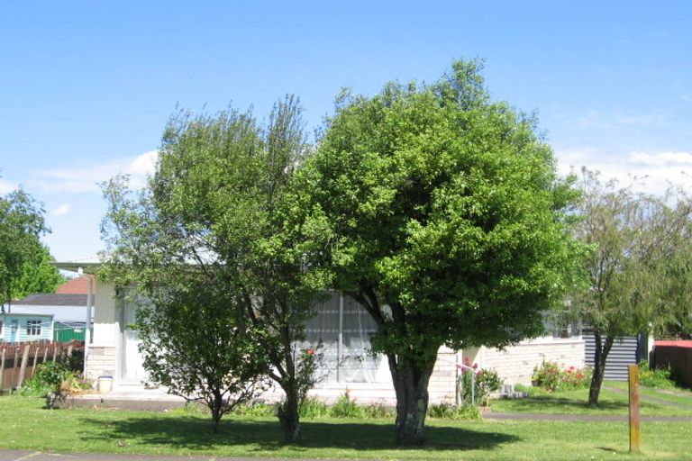 Photo of property in 36 Oswald Street, Mangapapa, Gisborne, 4010