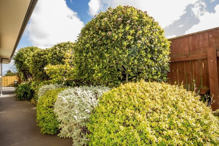 Photo of property in 30 Paisley Street, Awapuni, Palmerston North, 4412