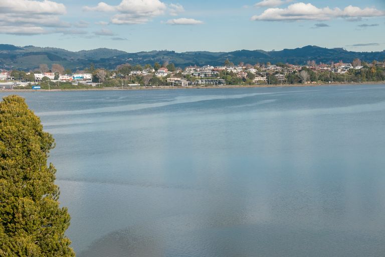 Photo of property in 19 Roderick Street, Otumoetai, Tauranga, 3110