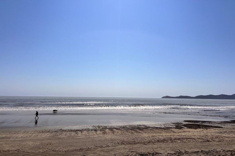 Photo of property in 2/33 Beach Road, Paekakariki, 5034