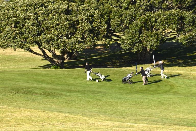 Photo of property in 110 Oceanbeach Road, Mount Maunganui, 3116