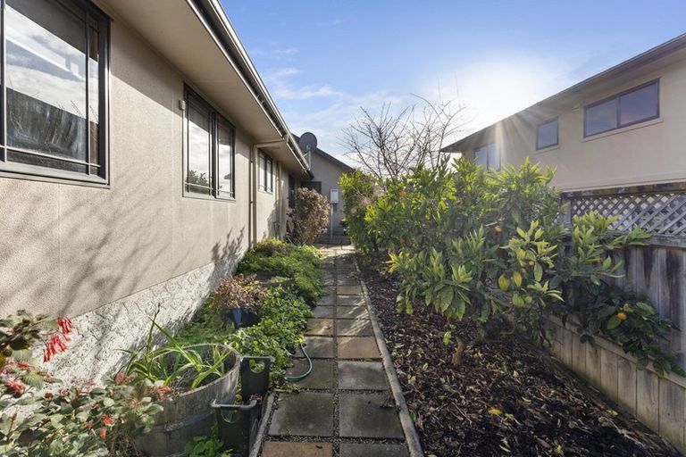 Photo of property in 24 Ursula Drive, Feilding, 4702