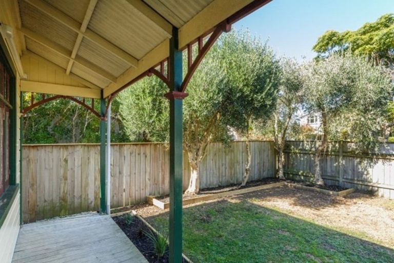 Photo of property in 17 Limbrick Street, Terrace End, Palmerston North, 4410