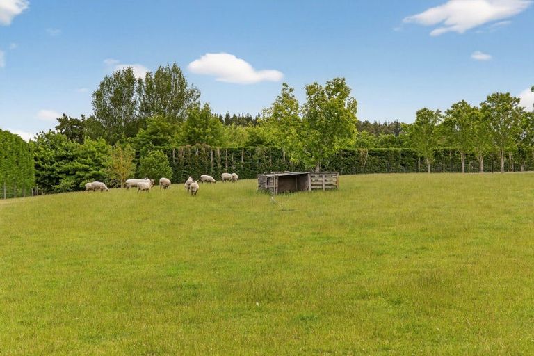 Photo of property in 225 Marshmans Road, Ashley, Rangiora, 7477