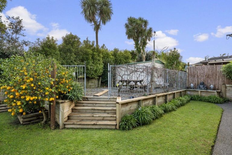 Photo of property in 19 Marire Drive, Ohauiti, Tauranga, 3112