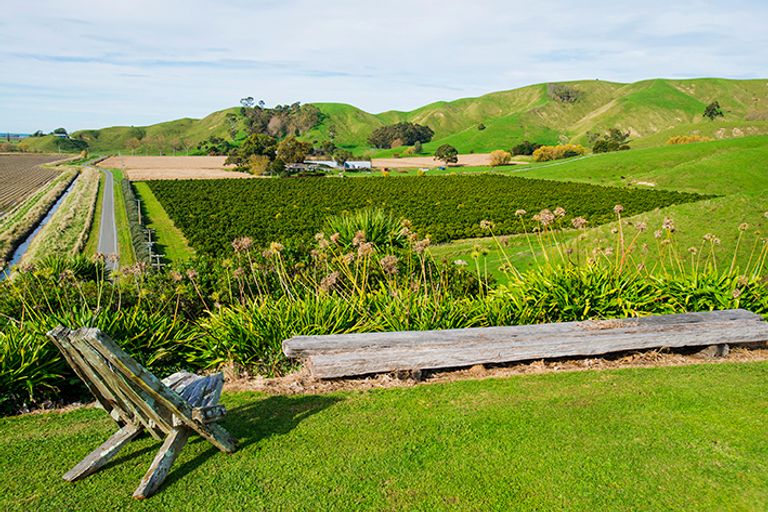 Photo of property in 52 Saddler Road, Muriwai, Gisborne, 4072