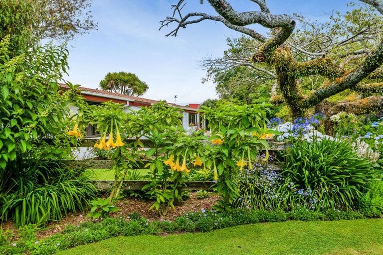 Photo of property in 37 Flint Road West, Stratford, 4332