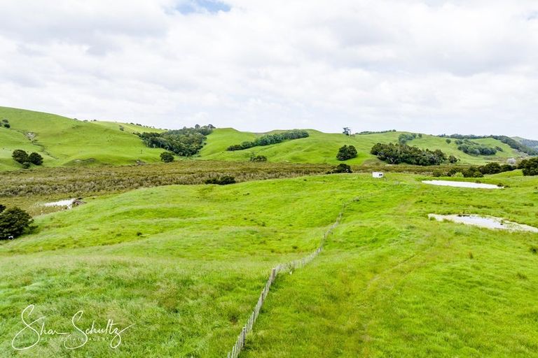 Photo of property in 215c Heatley Road, Whakapirau, 0583