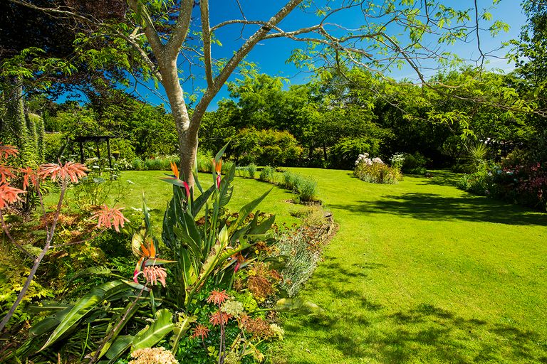 Photo of property in 113 Darwin Road, Outer Kaiti, Gisborne, 4010