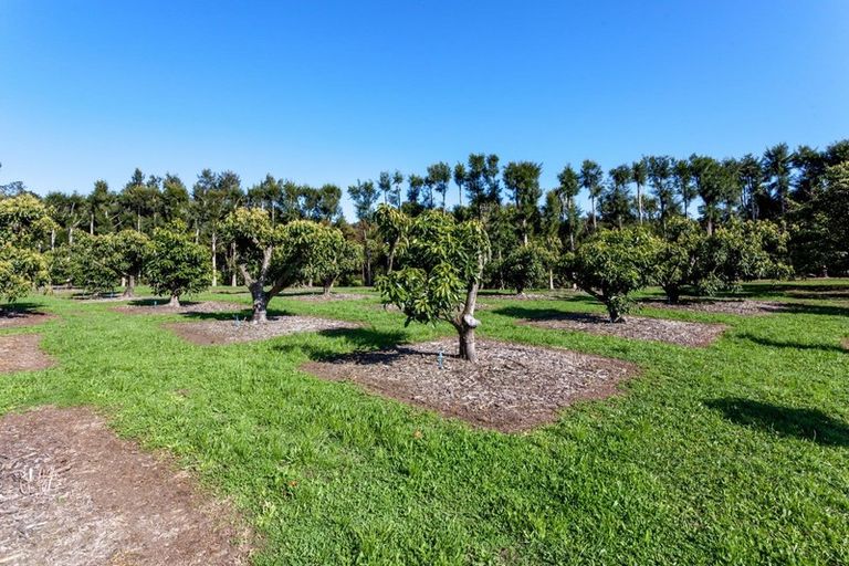 Photo of property in 1043c State Highway 25, Whenuakite, Whitianga, 3591