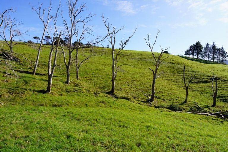 Photo of property in 1658 Ruapekapeka Road, Kawakawa, 0182