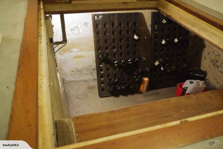 Photo of property in 9 Roy Street, Newtown, Wellington, 6021