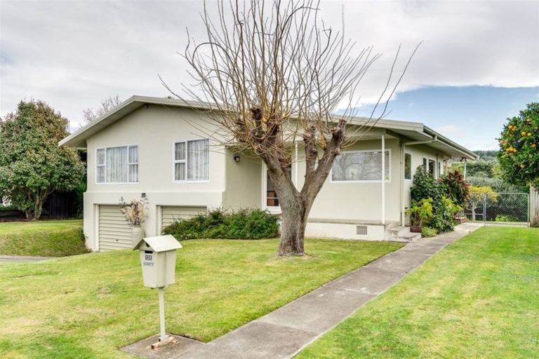 Photo of property in 128 Avondale Road, Greenmeadows, Napier, 4112