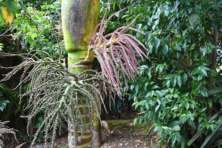 Photo of property in 45 Gorge Road, Maungaturoto, 0520