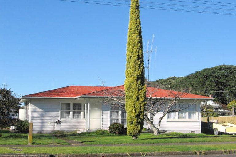 Photo of property in 102 Williamson Street, Thames, 3500