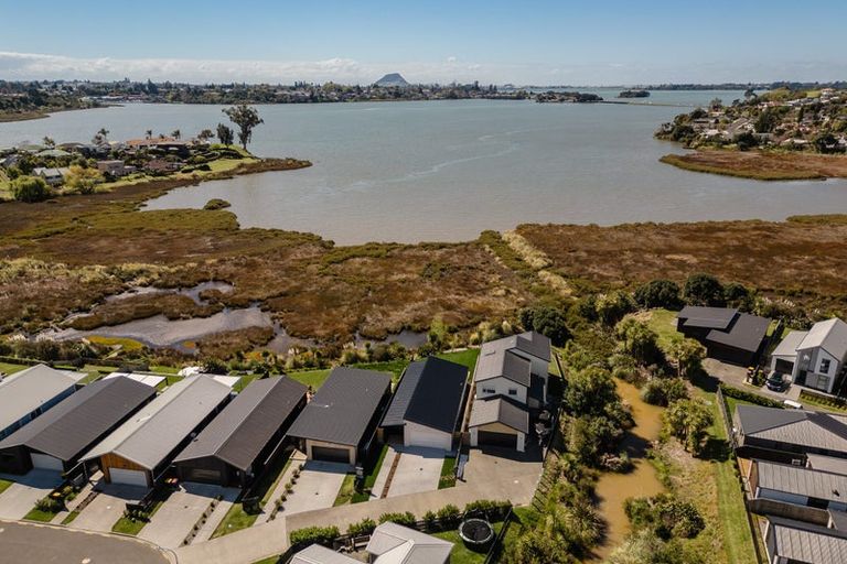 Photo of property in 45 Hinaki Street, Poike, Tauranga, 3112