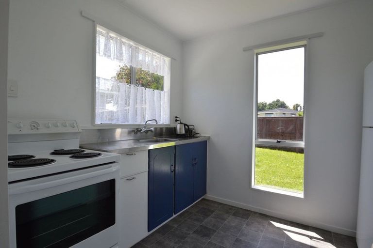 Photo of property in 38 Strathmore Avenue, Levin, 5510