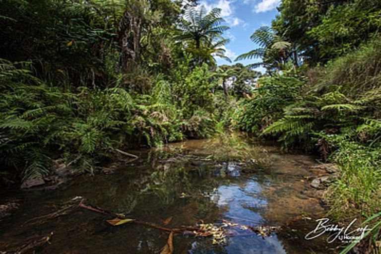 Photo of property in 1 Lori Lane, Coopers Beach, 0420