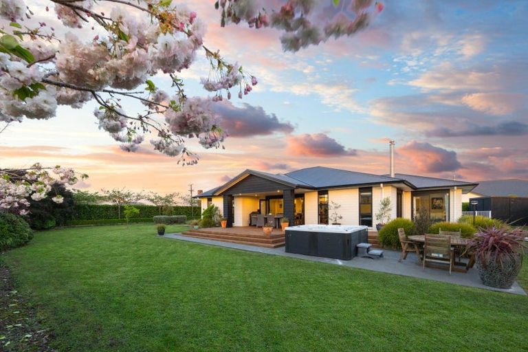 Photo of property in 129 Ranfurly Road, Feilding, 4702