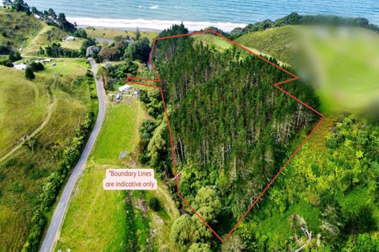 Photo of property in 761h State Highway 2 West, Pikowai, Matata, 3194