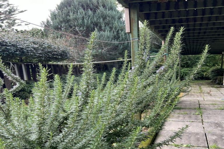 Photo of property in 1070 River Road, Queenwood, Hamilton, 3210