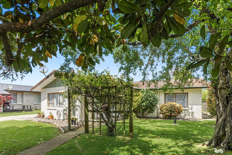 Photo of property in 6 Pukatea Place, Matamata, 3400