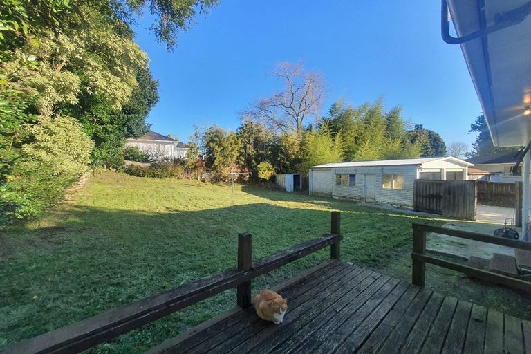 Photo of property in 55 Larissa Avenue, Henderson, Auckland, 0610