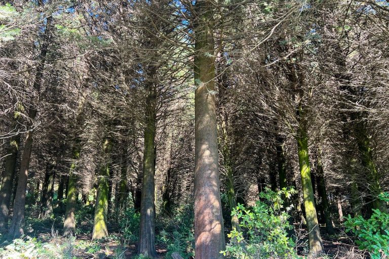 Photo of property in 80 Bay View Road, Woodend, Invercargill, 9877