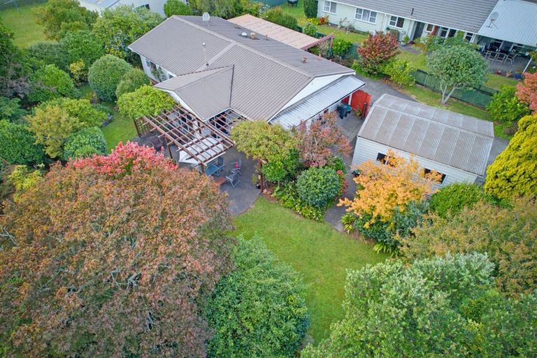 Photo of property in 15 Bell Street, Kawerau, 3127