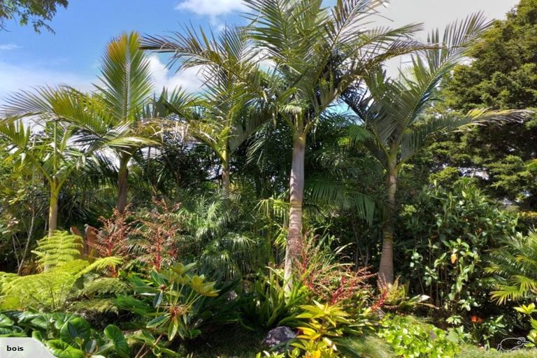 Photo of property in 33 Sarawak Drive, Kerikeri, 0230