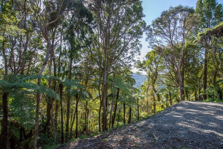 Photo of property in 15 Te Aute Ridge Road, Waitakere, Auckland, 0781