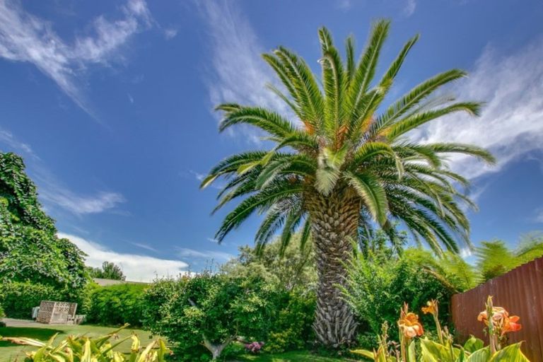 Photo of property in 7 Cambridge Terrace, Taradale, Napier, 4112